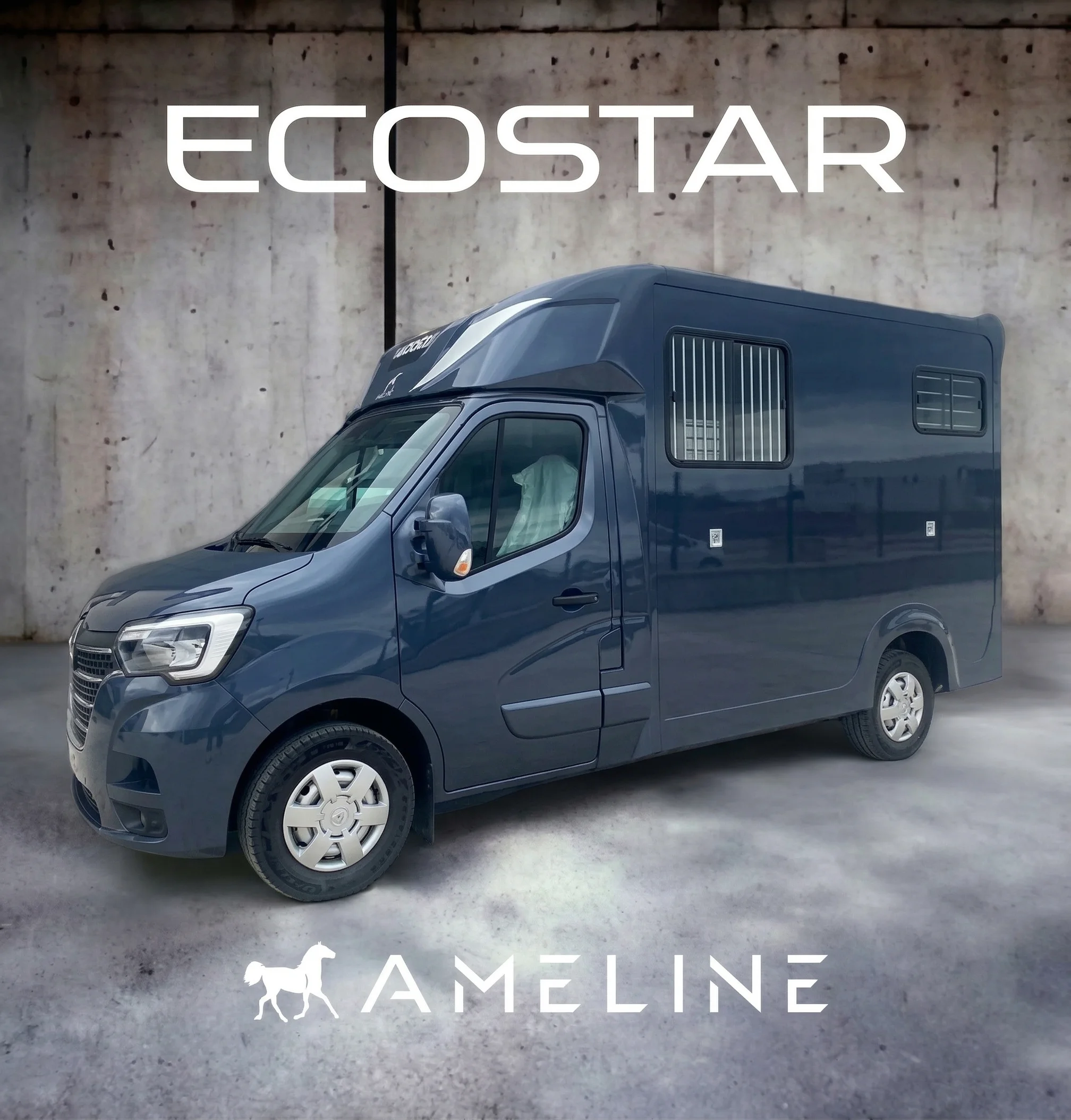AML Ecostar