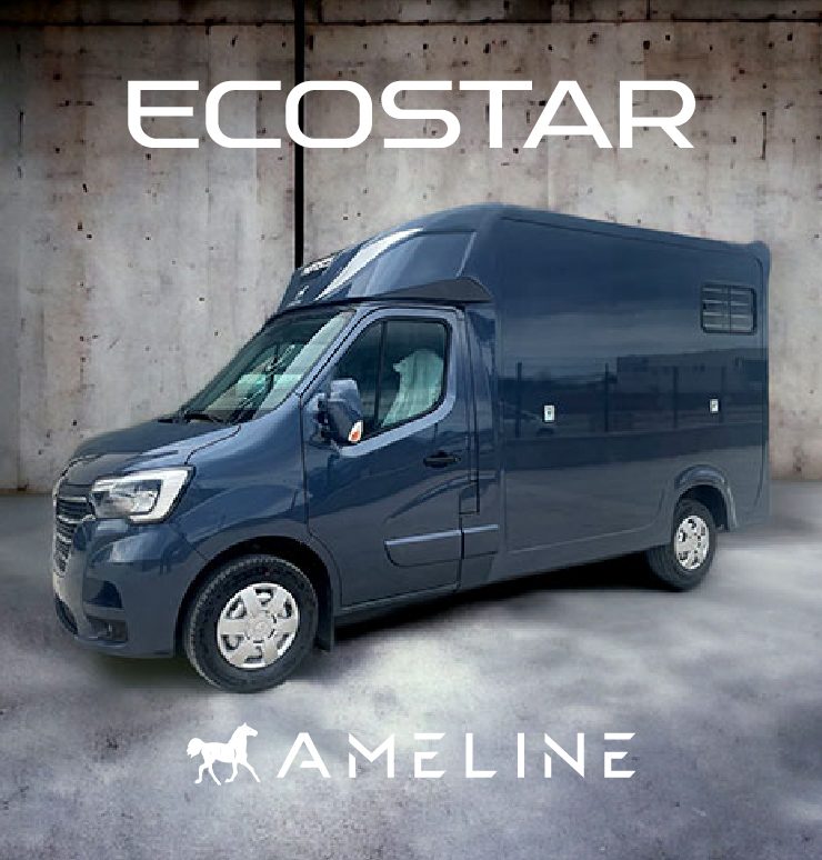 AML Ecostar