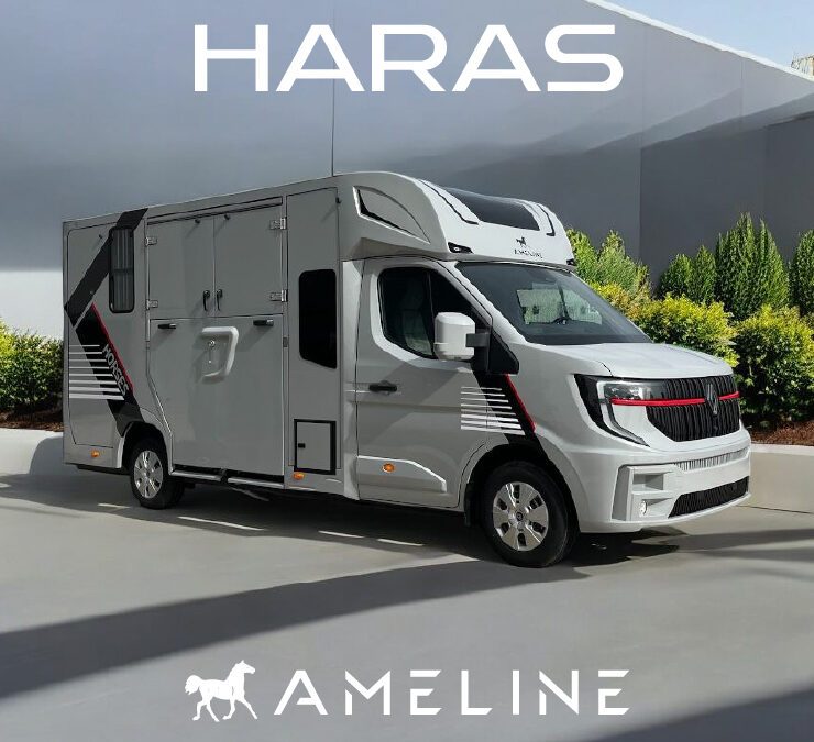 AML Haras 5 places