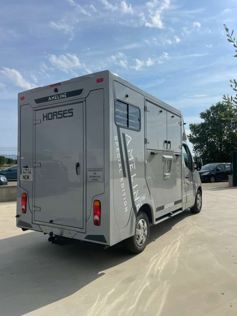 Furgoneta seminueva Truck