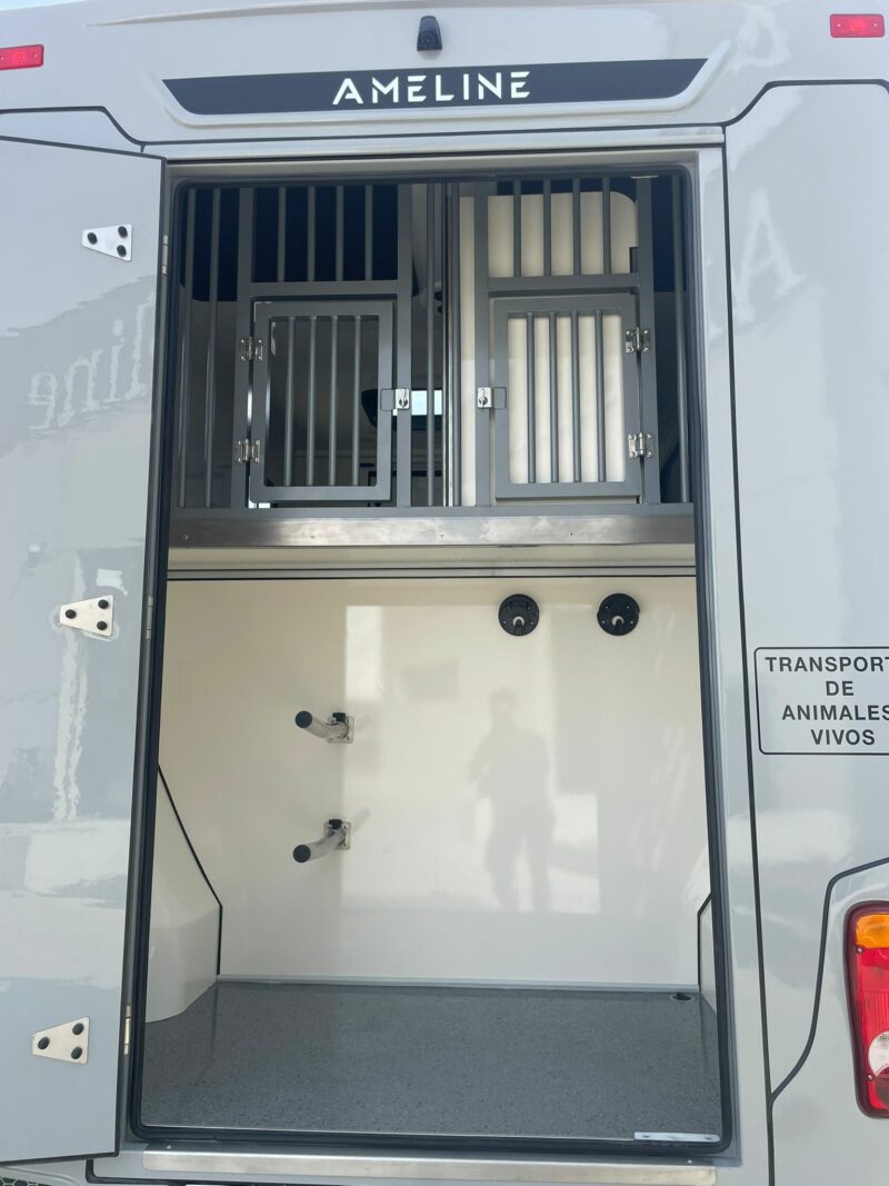 Furgoneta seminueva Truck 2