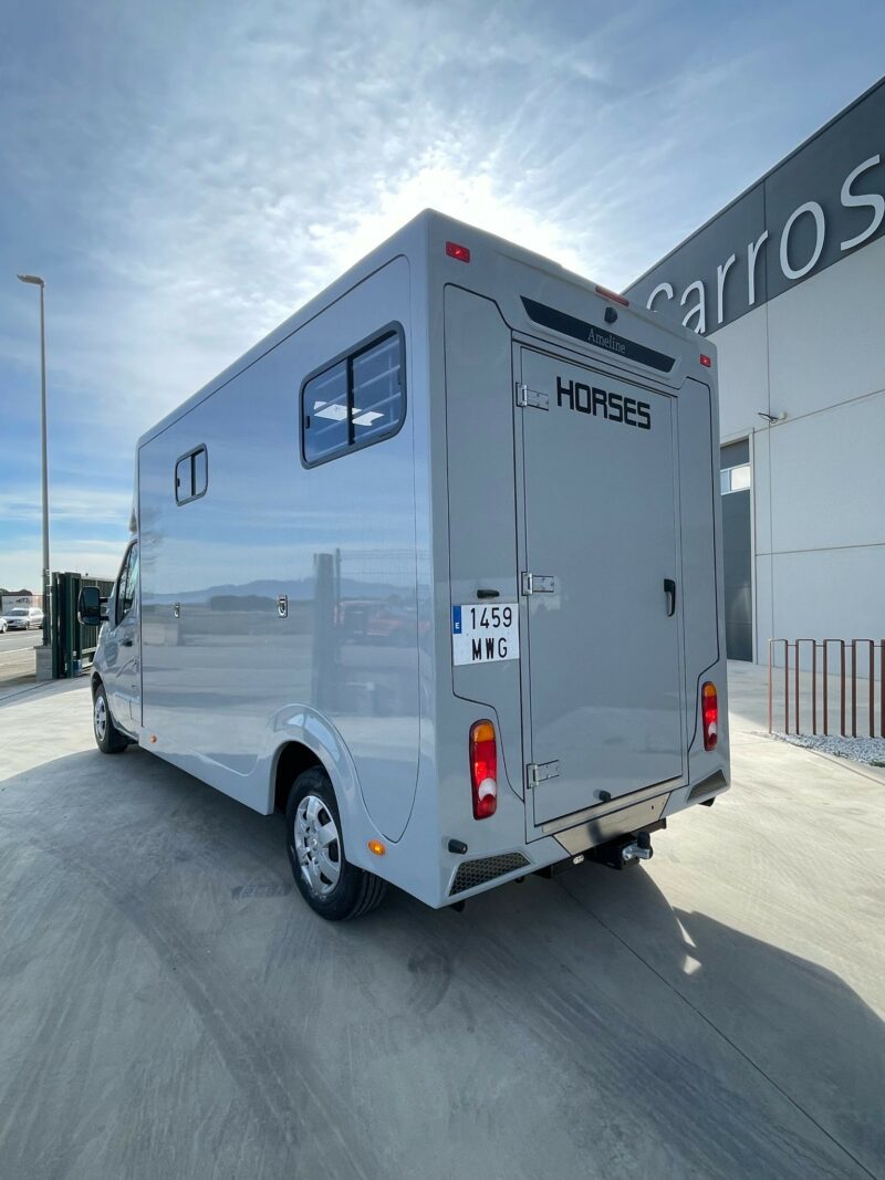 3-seats horse truck Haras Renault master - Image 3