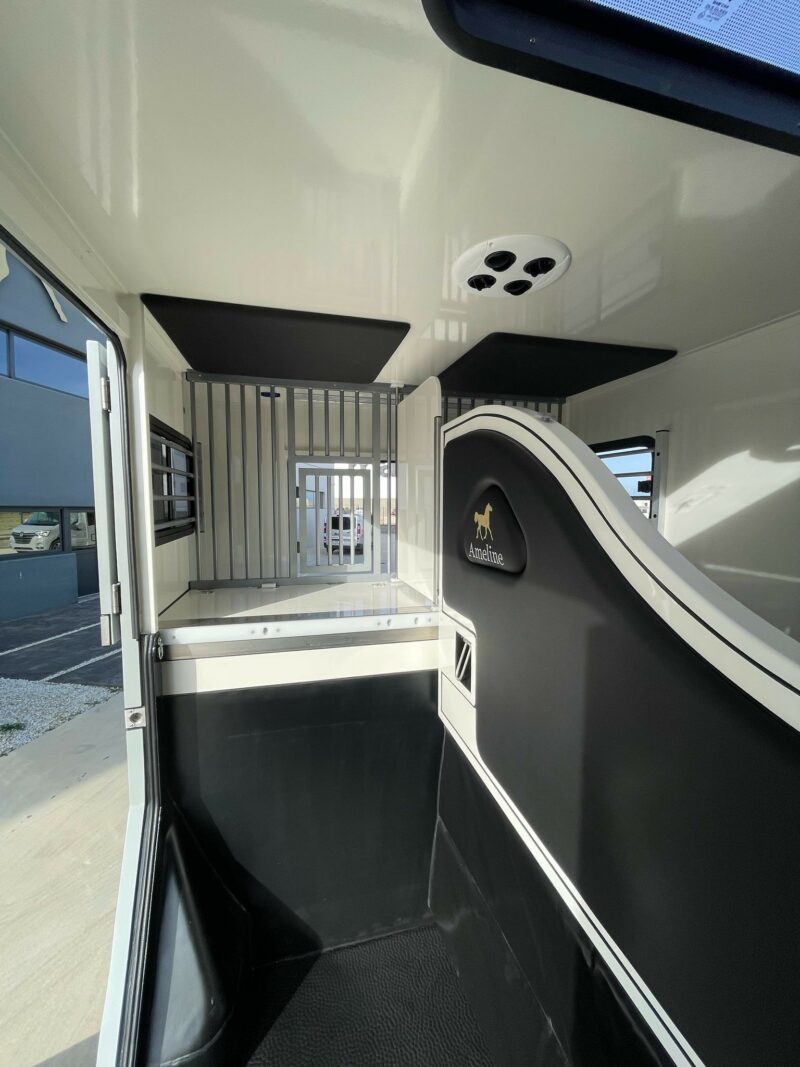 3-seats horse truck Haras Renault master - Image 9