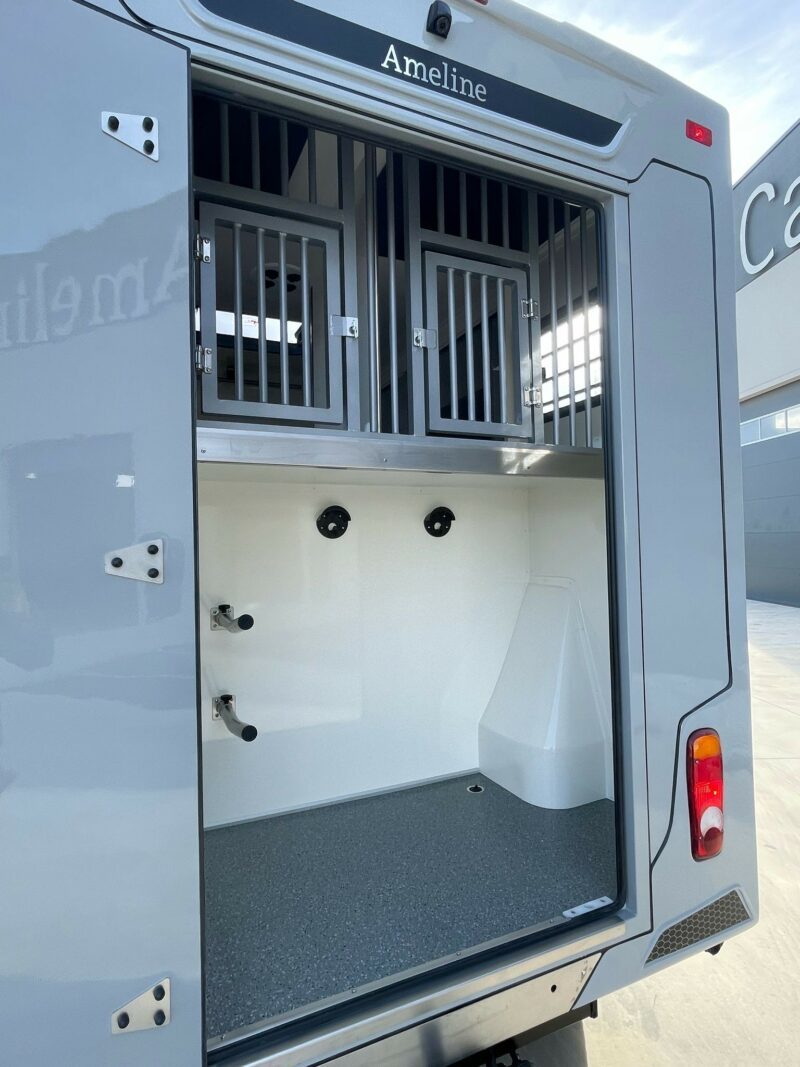 3-seats horse truck Haras Renault master - Image 10