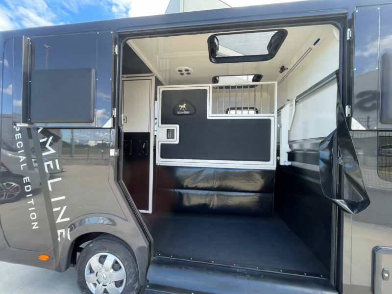 Ameline 2 horses Renault Master 165 hp truck double cabin - Image 4