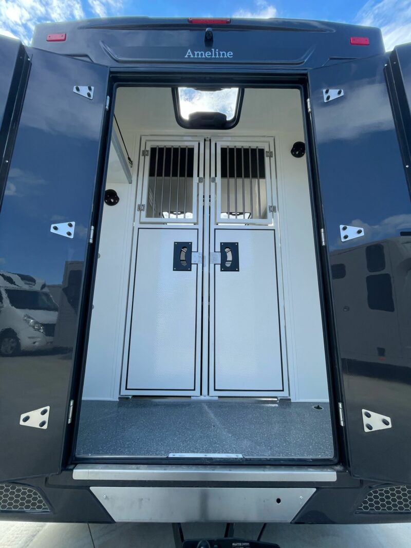 Ameline 2 horses Renault Master 165 hp truck double cabin - Image 5