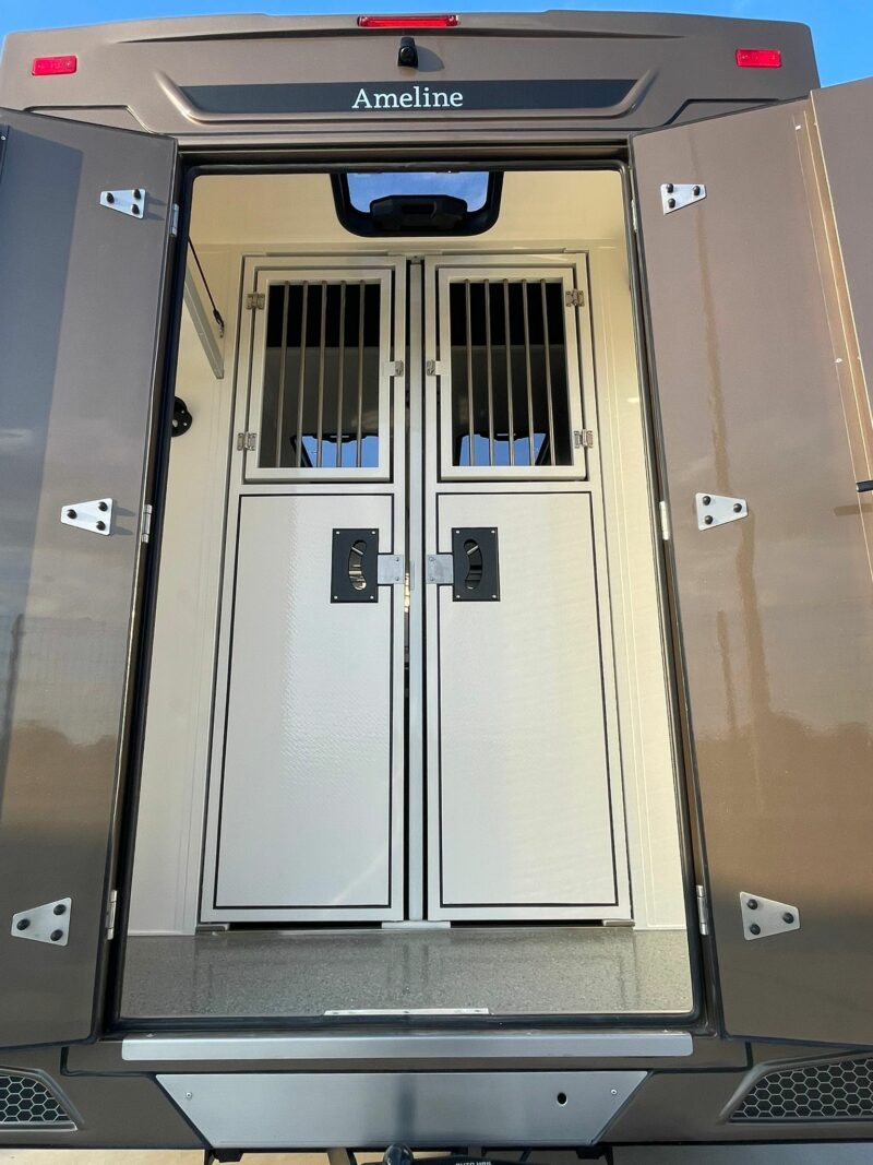 autocarro cavalli Renault Master 165cv 5 posti (Copie) (Copie) - immagine 8