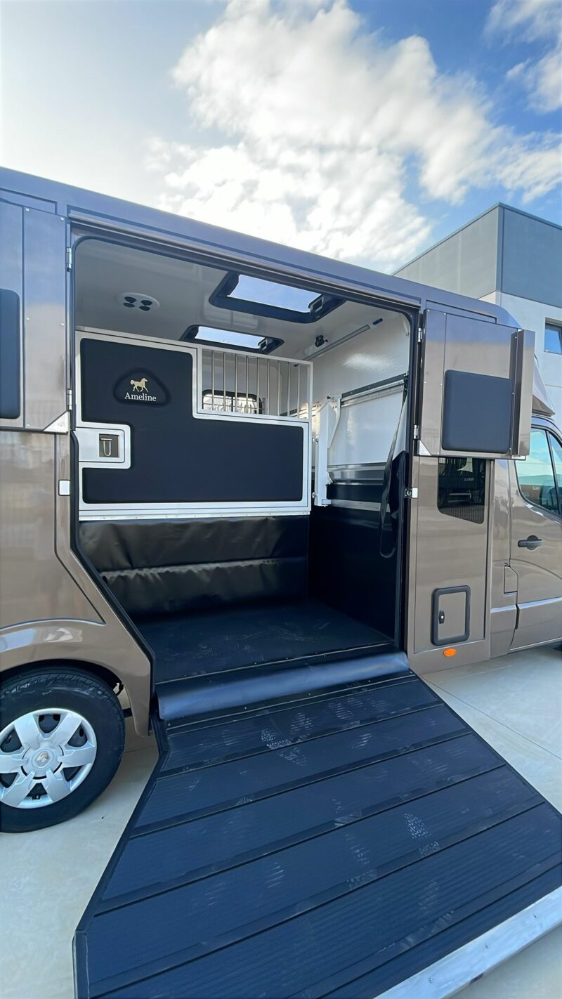 autocarro cavalli Renault Master 165cv 5 posti (Copie) (Copie) - immagine 9