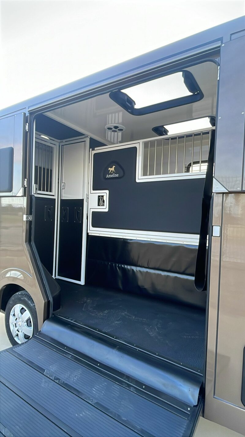 autocarro cavalli Renault Master 165cv 5 posti (Copie) (Copie) - immagine 10