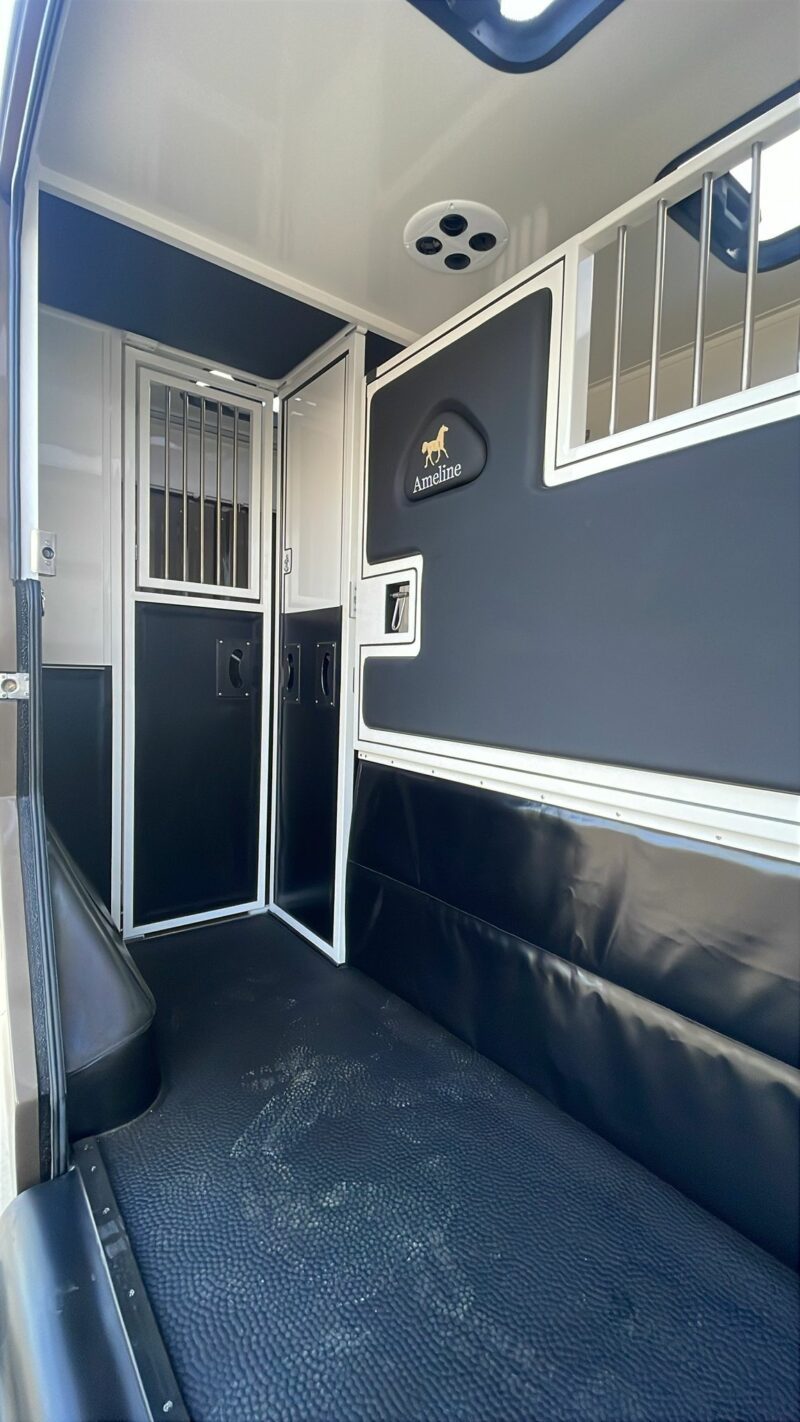 autocarro cavalli Renault Master 165cv 5 posti (Copie) (Copie) - immagine 11
