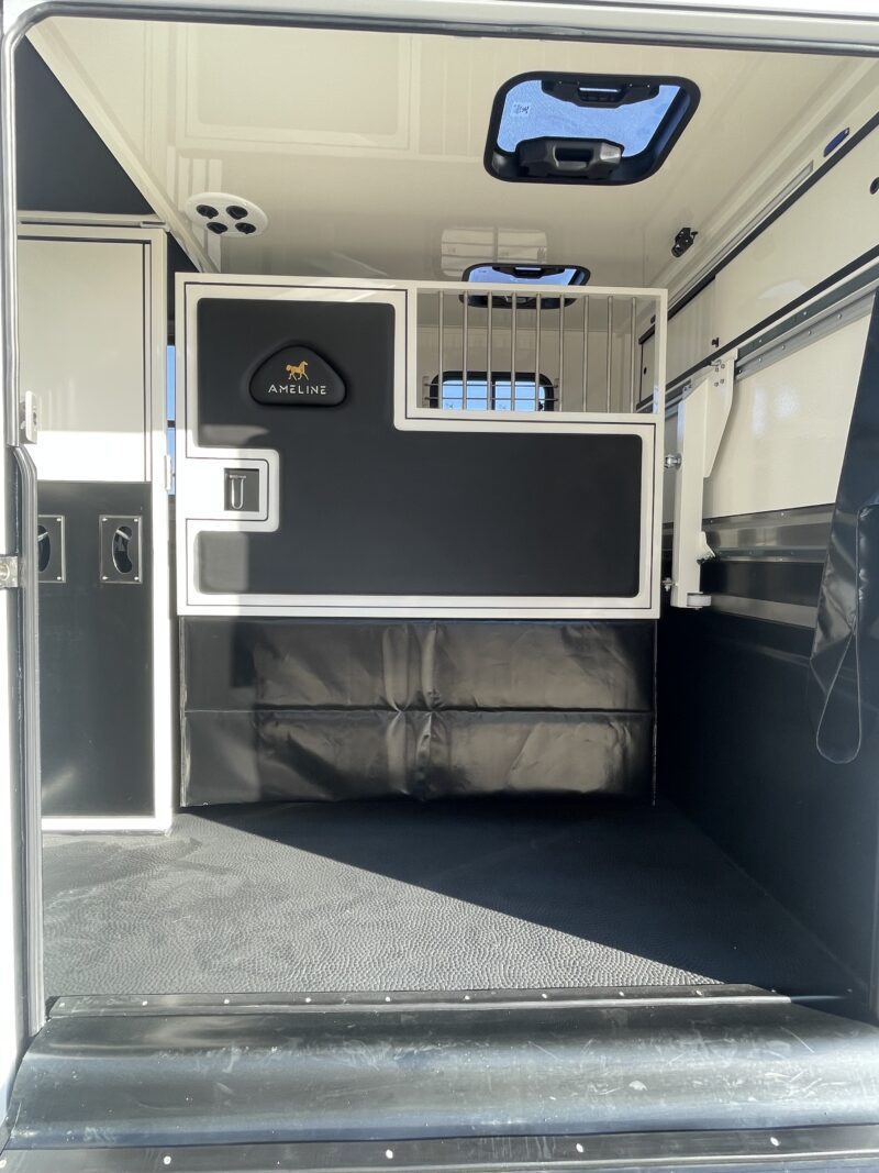 Ameline 2 horses Renault Master 165 hp 3 seats cabin - Image 12