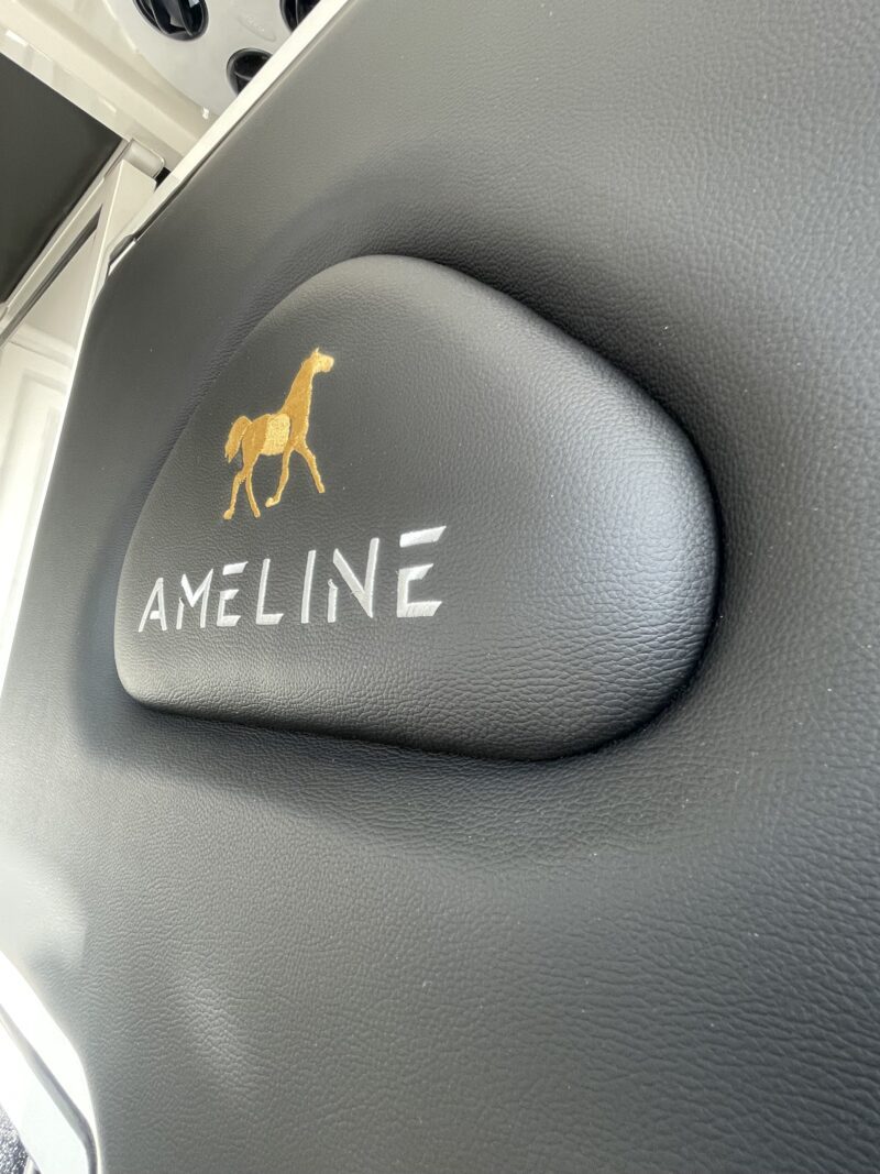 Ameline 2 horses Renault Master 165 hp 3 seats cabin - Image 18