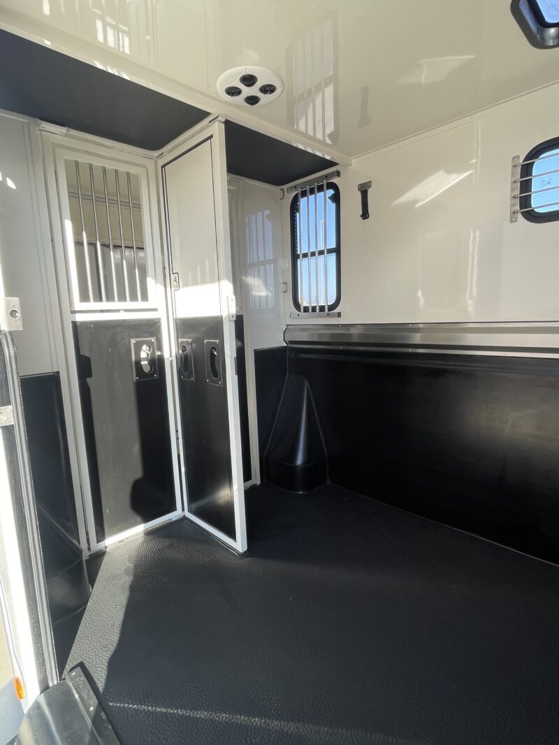 Ameline 2 horses Renault Master 165 hp 3 seats cabin - Image 15