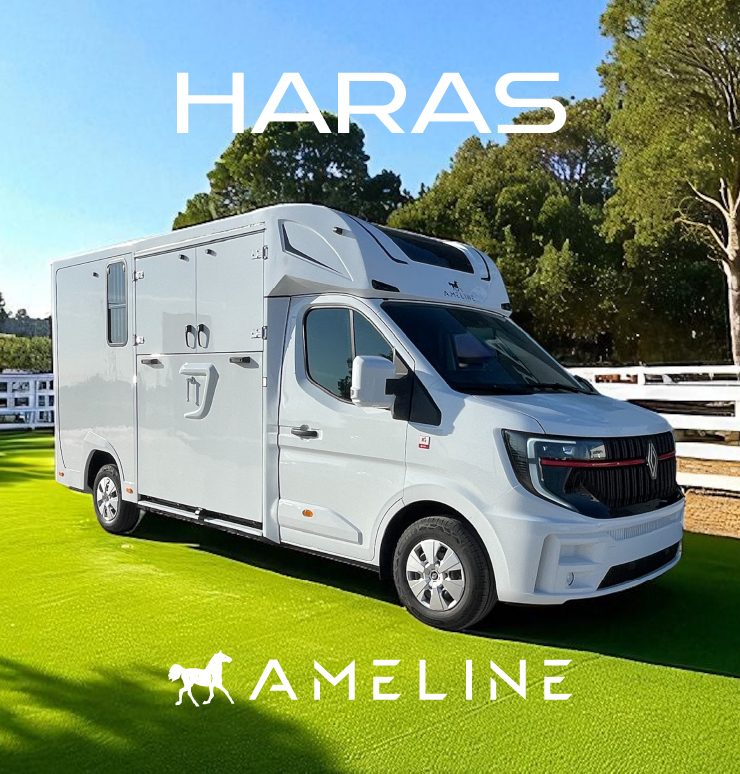 AML Haras